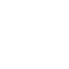 2021zhengfu_icon